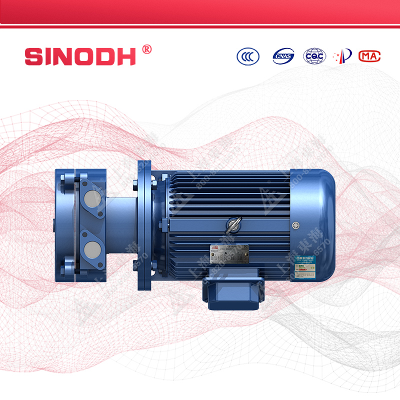 SKA型直联水环式真空乐动（中国）